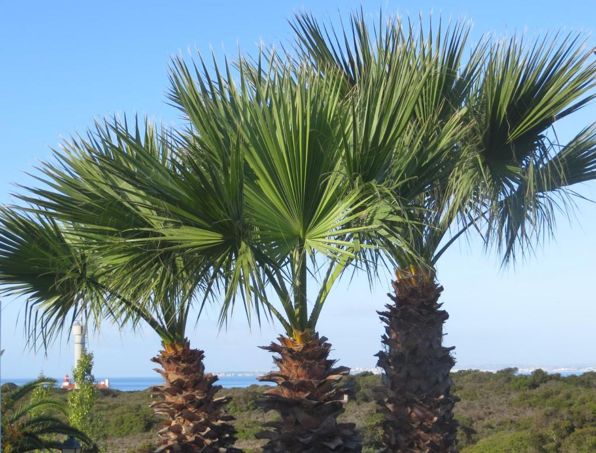 Three Palms Apartment Ферагудо Екстериор снимка